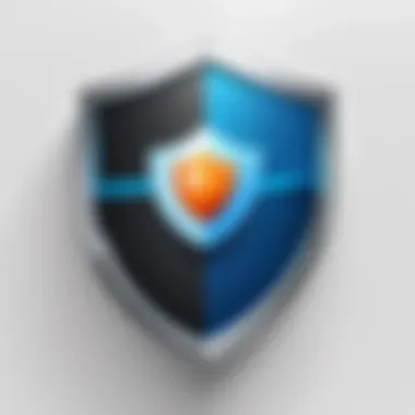 Privacy Protection Shield