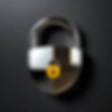 Secure Connection Lock