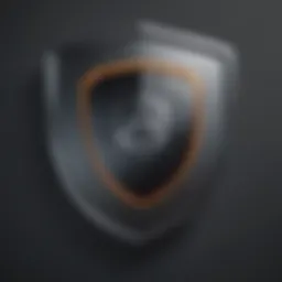 Cybersecurity Shield Icon