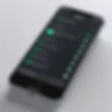 Accessing iPhone settings to check IP address