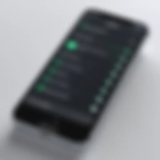 Accessing iPhone settings to check IP address