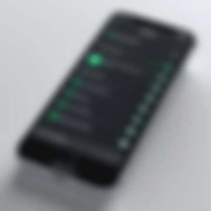 Accessing iPhone settings to check IP address