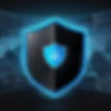 A virtual shield representing online privacy.