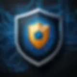 A digital shield symbolizing online privacy.