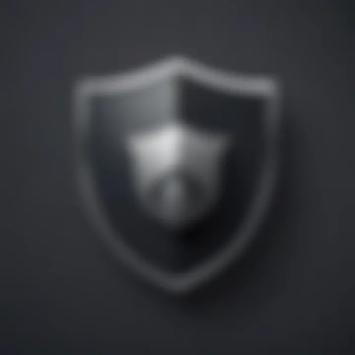 Shield Icon Representing Enhanced Security