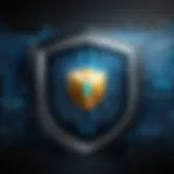 A digital shield representing online security.