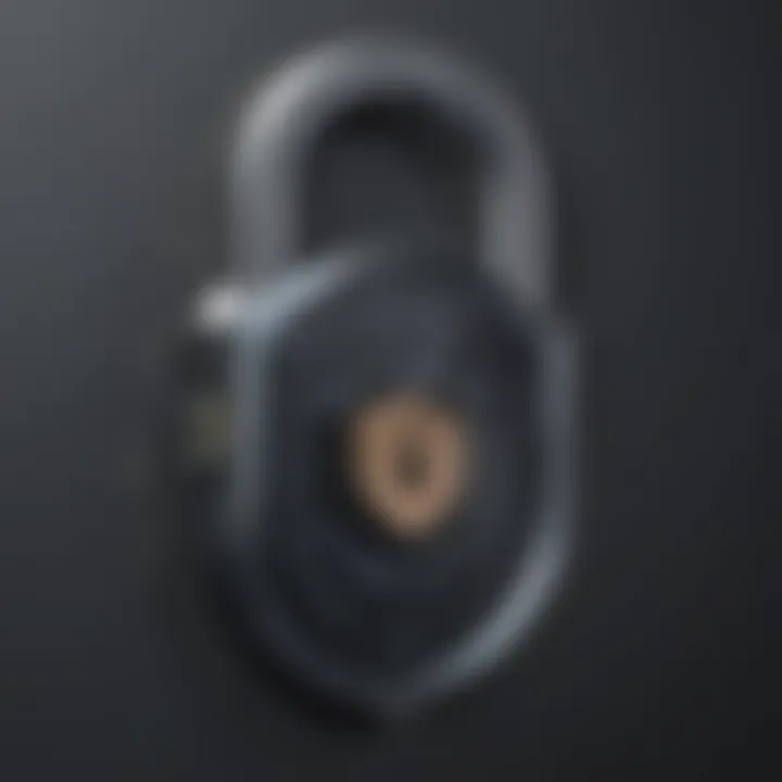 Phone being locked with a secure padlock