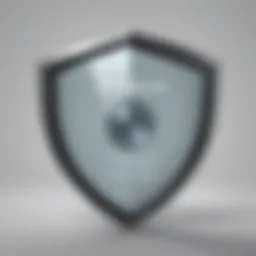 Illustration of a shield with a magnifying glass symbolizing protection and detection