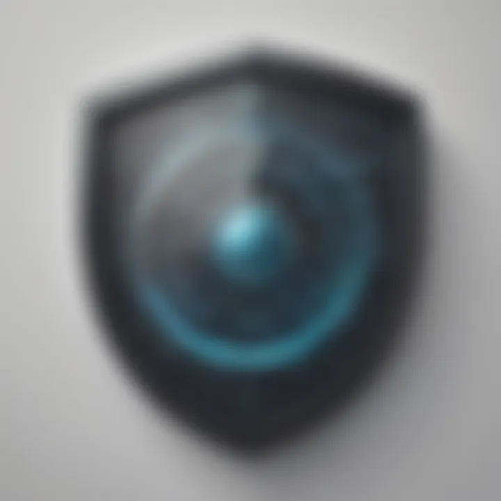 Digital Security Shield