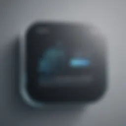 Privacy Settings Icon