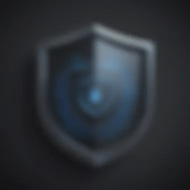 Privacy Shield Icon Privacy Shield Icon Symbolizing Secure Online Communication