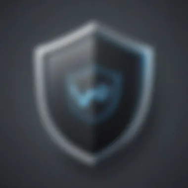 Privacy Shield Icon