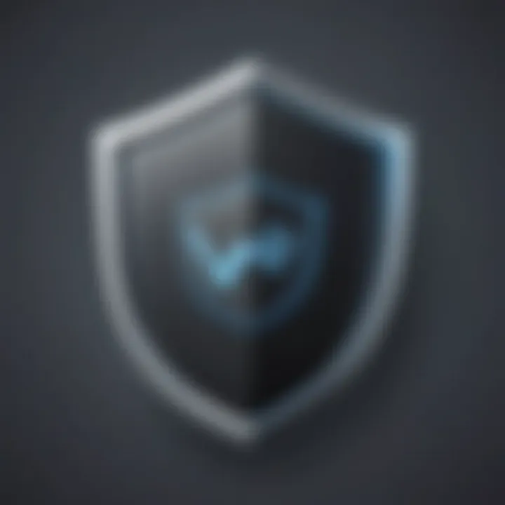 Privacy Shield Icon