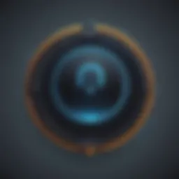 Privacy Shield with VPN Keyhole