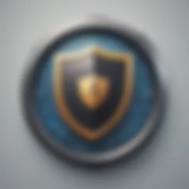Safeguarding Privacy Protection Shield Privacy Protection Shield