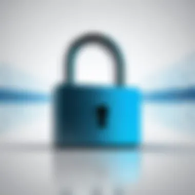 Securing Online Privacy Privacy Lock Symbol