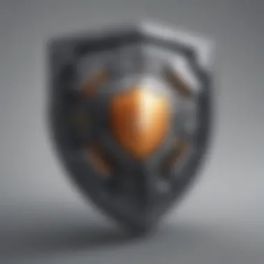 Secured Data and Information Shield Secured Data and Information Shield