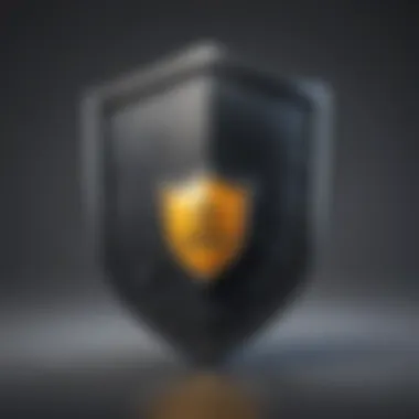 Email Fortress Shield Email shield for protection