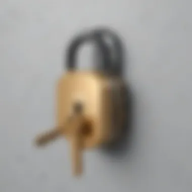 Privacy lock and key