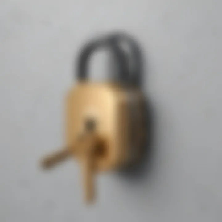 Privacy lock and key