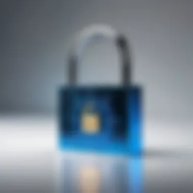 A digital padlock symbolizing online security