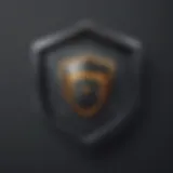 Security Shield Icon representing Keeper App