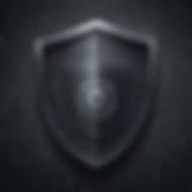 Shield with Binary Code for Cybersecurity Shield with binary code pattern for cybersecurity illustration