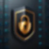 Shield Icon with Lock