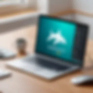Installation Guide for Surfshark on Safari Step-by-step installation guide visual for Safari extension