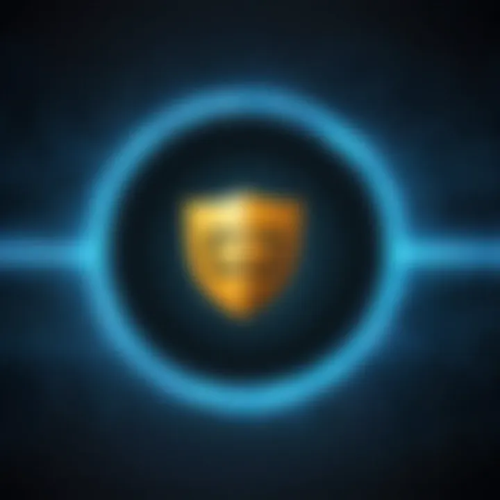 Visual representation of privacy features associated with VPN usage.