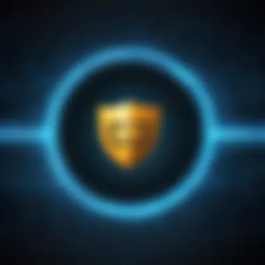 Privacy Features of VPNs Visual representation of privacy features associated with VPN usage.