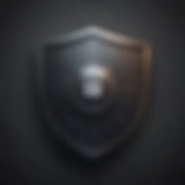 Shield with digital lock icon