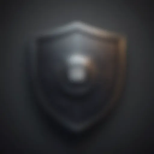 Shield with digital lock icon