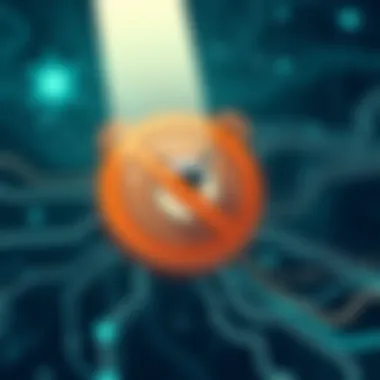 Visual representation of TunnelBear's no-logs policy