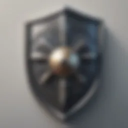 Secure Password Shield