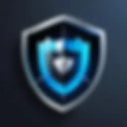Privacy Shield