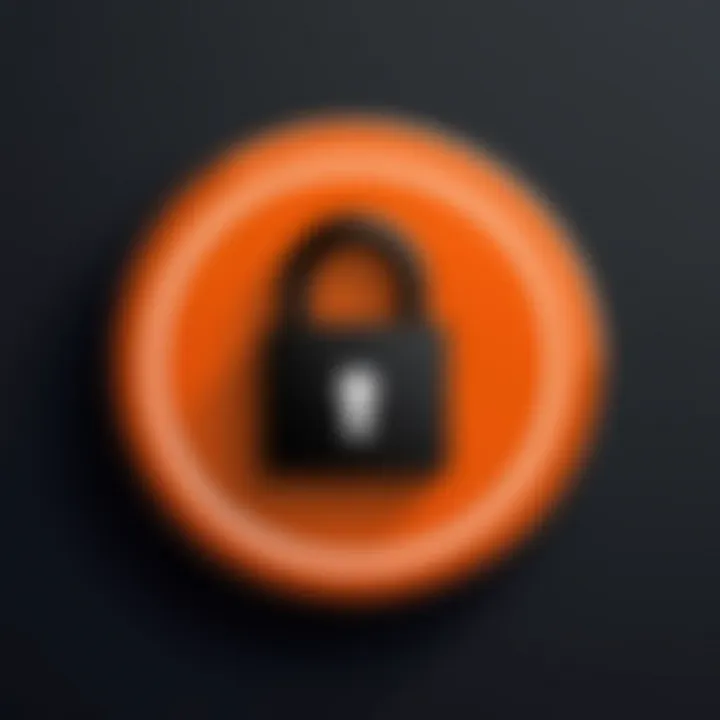 A lock symbol illustrating online privacy