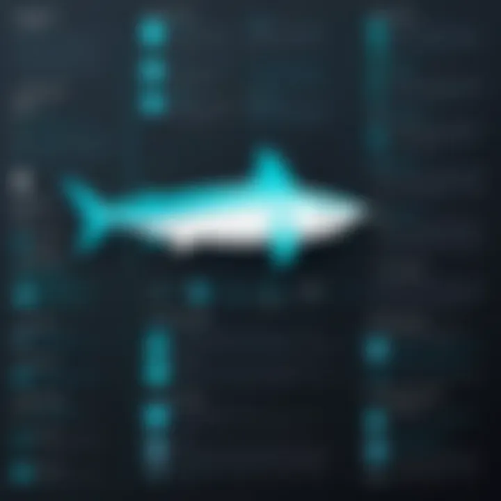 Diagram showcasing Surfshark's protocols