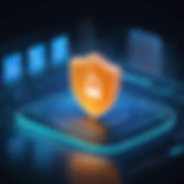 Graphic representation of online privacy enhancement through IP address changes