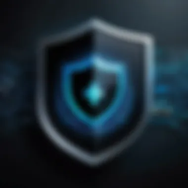 Graphic of a shield icon representing protection against hacking