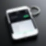 Visual representation of iPhone Keychain interface