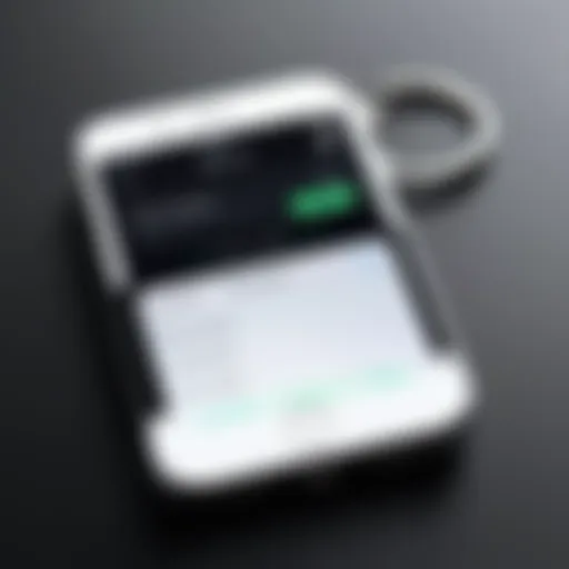 Visual representation of iPhone Keychain interface