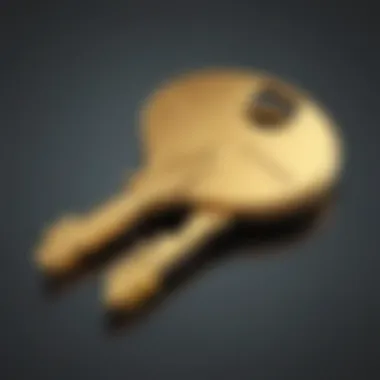 Abstract golden key unlocking savings