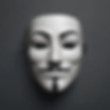 Anonymous Mask Symbolizing Online Privacy