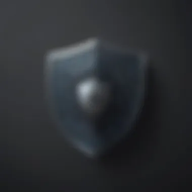 Cyber Security Network Shield Icon Cyber Security Network Shield Icon
