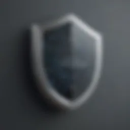 Digital Privacy Shield