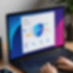 Veepn VPN user interface demonstration