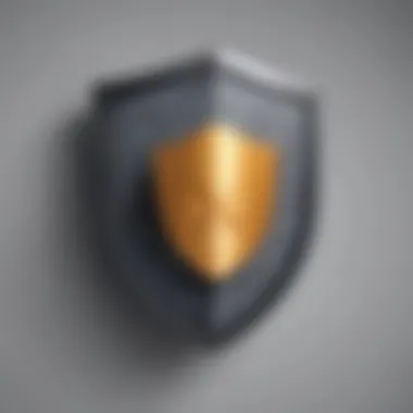 Shielding Privacy: VPN's Encryption Defense VPN connection shield concept