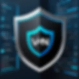Overview of VPN Shield App Interface